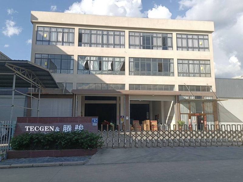 China FUJIAN TECGEN POWER CO., LTD. Perfil da companhia