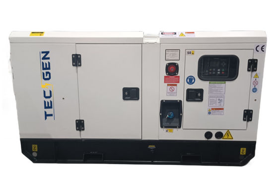 40KW 50KVA Generator Ricardo Brushless Alternator Type With Digital Controller TG6120N