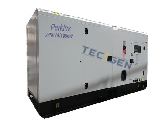 196kW 60Hz Self Start Diesel Generator With 300A Built In ATS