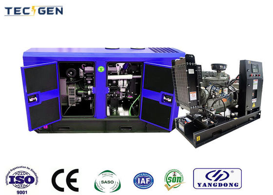 Single phase 18kW genset 60Hz diesel generator with power factor 0.8 for single phase appliction